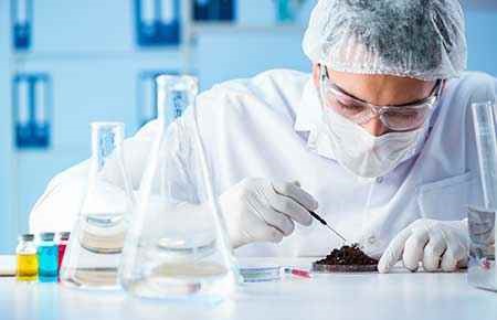 Soil Microbiology