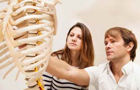 Pre-Chiropractic Studies Major