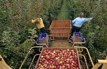 Agricultural Production Operations, General