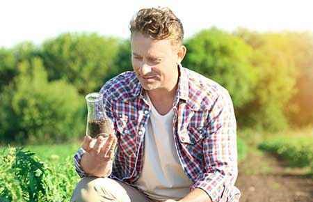 Soil Science and Agronomy, General