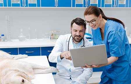 vetassistant
