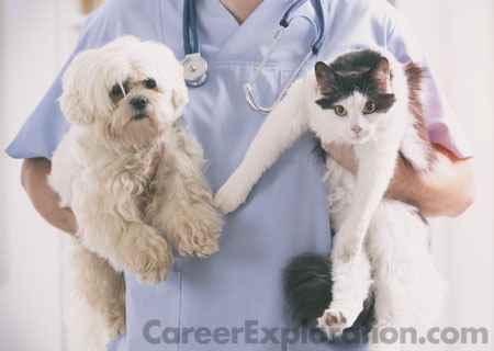 Veterinary Sciences/Veterinary Clinical Sciences, General Major