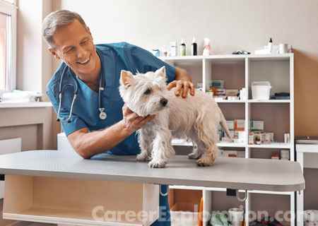 Veterinary Medicine Major