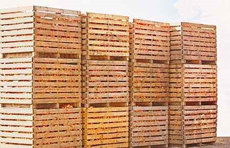 Agricultural/Farm Supplies Retailing and Wholesaling