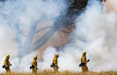 Wildland/Forest Firefighting and Investigation Major